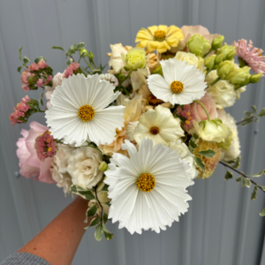 IndieGrow Bouquet Subscription — 12 week